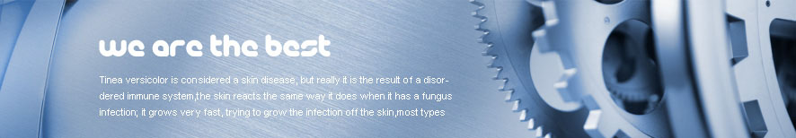 台北信義區黃頁網-網站目錄